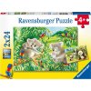 Ravensburger 07820 Roztomilé koaly a pandy 2x24 dílků