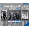 Ravensburger 16729 Triptych Puzzle Panter, slon a lev Panorama 1000 dílků