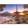 Ravensburger 17090 Puzzle Rozkvetlé třešně v Japonsku 1000 dílků