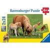 Puzzle Roztomilí poníci 2x24d. Ravensburger