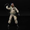 Ghostbusters Plasma Series akční figurka Posmrtný život WINSTON ZEDDEMORE, F2504