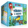 Kvído Příroda v kostce