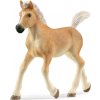 Schleich 13951 Haflingerské hříbě