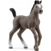 Schleich 13957 Hříbě plemene Selle Français