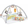 Fisher-Price 5-Sinnes Spieldecke (SIOC)