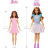 My First Barbie Core Doll with Bunny (brünette Haare)