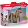 Schleich® 42621 Výstavní achaltekinský hřebec