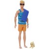 Barbie® Ken Surfař s doplňky
