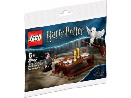 LEGO® Harry Potter 30420 Harry Potter a sovička Hedviga