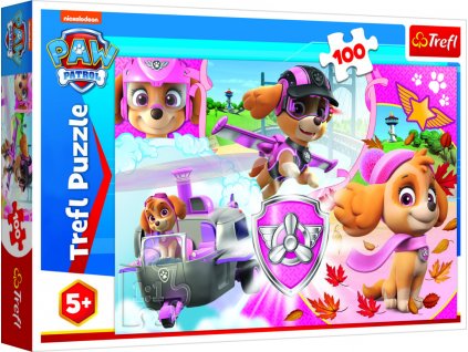 Puzzle Tlapková patrola Skye v akcii 100 dielikov