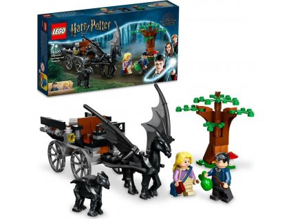 LEGO® Harry Potter™76400 Bradavice: Kočiar a testrálové