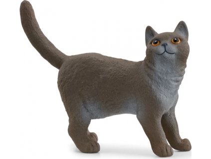 Schleich® 13973 britská krátkosrstá kočka