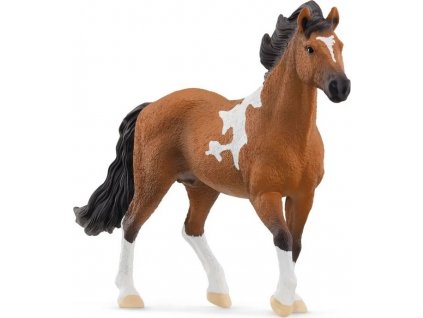 Schleich® 13978 Hřebec Mangalarga Marchador