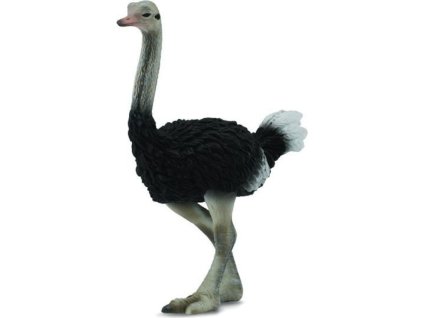 Collecta 88459 Pštros