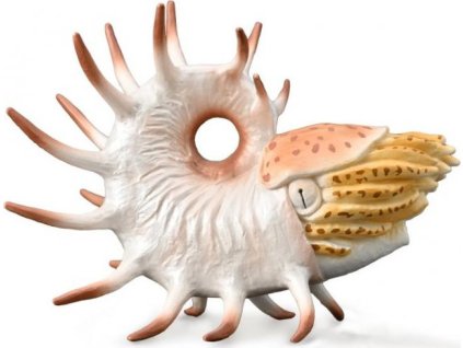 Collecta 88946 Cooperoceras