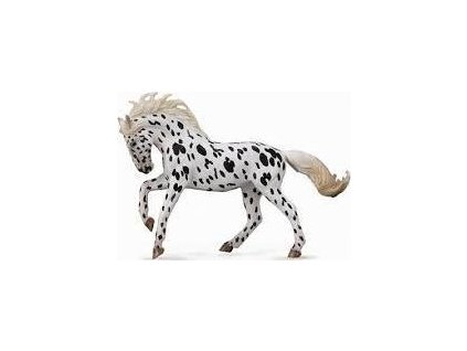 COLLECTA Knabstrupper Mare Černý leopard