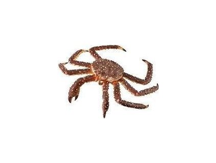 Collecta Královský krab