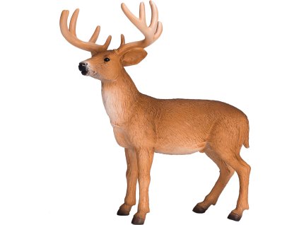 387038.animal