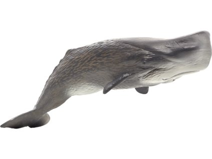 0631e68cbe313596bff8c21a392612bc