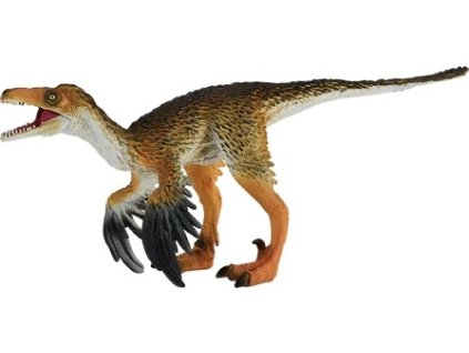 MJ381089 Troodon H