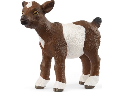 64d2d42d96ddb9a0d4f68022291bc6ae