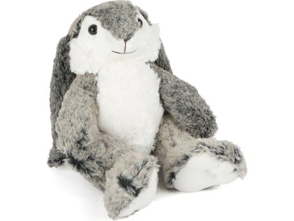 6328 Hase Hoppel 20170628