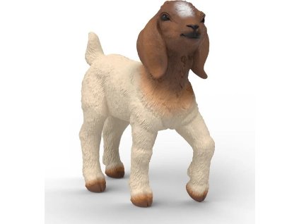 1d4c10d12dba808b5bee2ac77a3285ea