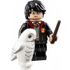 LEGO® 71022 minifigúrka Harry Potter - Harry Potter