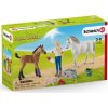 Schleich 42486 Návšteva veterinárky u kobyly a žriebäťa