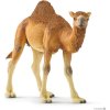 Schleich 14832 Ťava Dromedár