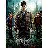 Ravensburger 12871 Puzzle Harry Potter Spolu v boji 300 XXL dílků