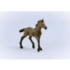 Schleich 13954 Hříbě plemene peruánský paso