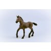 Schleich 13954 Hříbě plemene peruánský paso