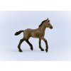 Schleich 13954 Hříbě plemene peruánský paso