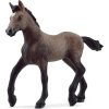 Schleich 13954 Hříbě plemene peruánský paso