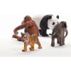 Schleich 42736 Wild Life Asie Startovací set