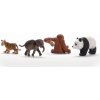 Schleich 42736 Wild Life Asie Startovací set