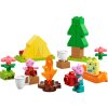 LEGO® DUPLO® 10452 Prasátko Peppa – Táboření