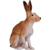 MJ381072 Hare zajic H
