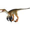 MJ381089 Troodon H