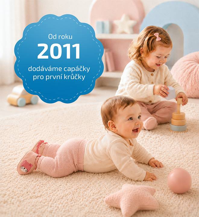 Od roku 2011