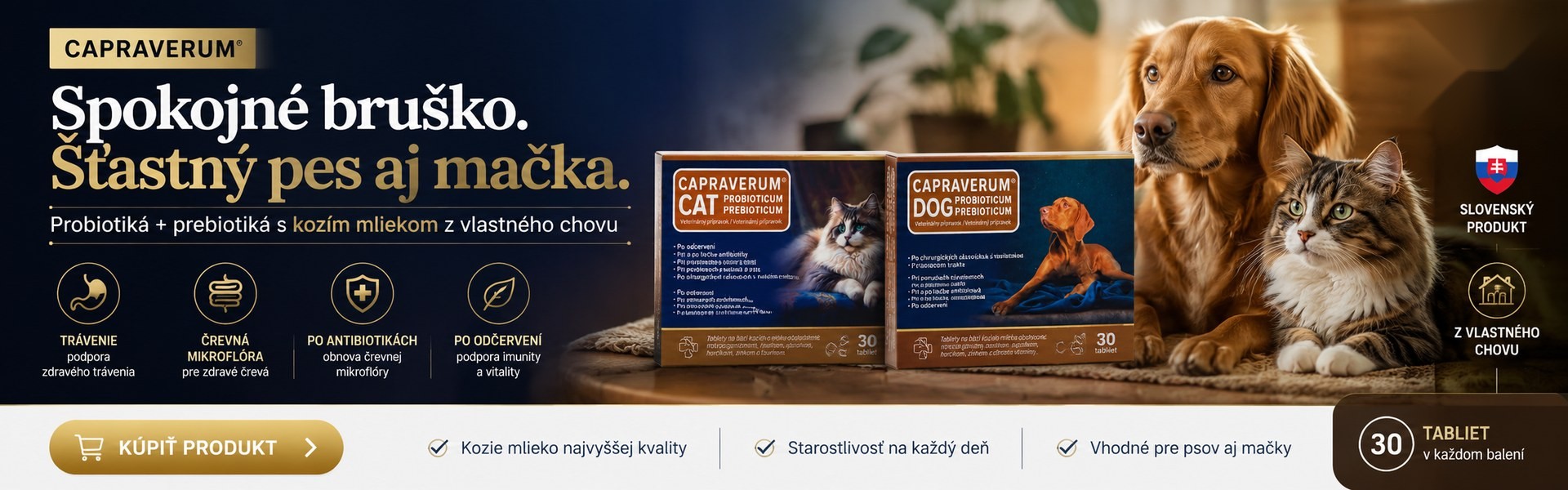 Hlavný banner PC 4