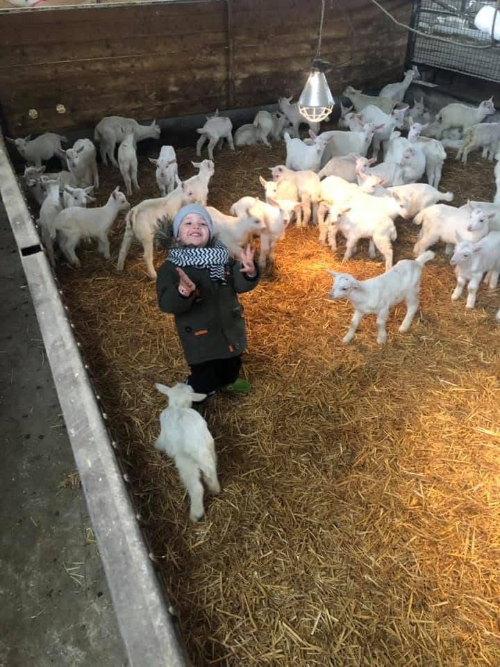 Dieťa s kozami na farme CAPRAMILK