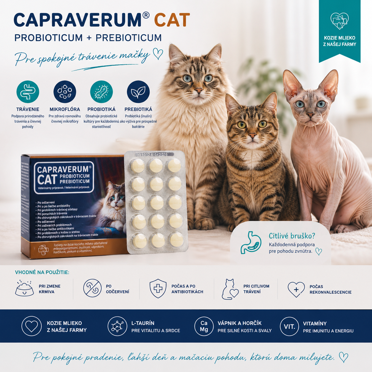 CAPRAVERUM CAT Probioticum Prebioticum pre spokojné trávenie mačky