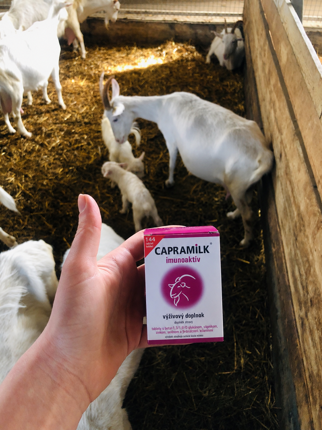 CAPRAMILK Imunoaktív v maštali pri kozách