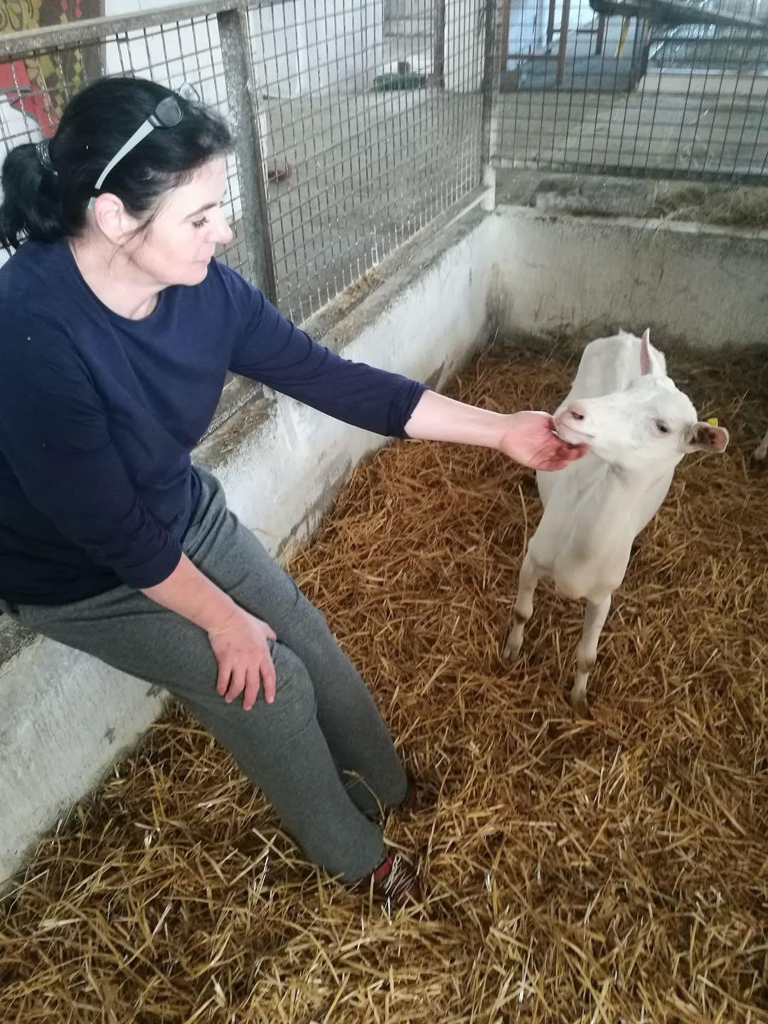 Jana Janečková hladká kozu na farme