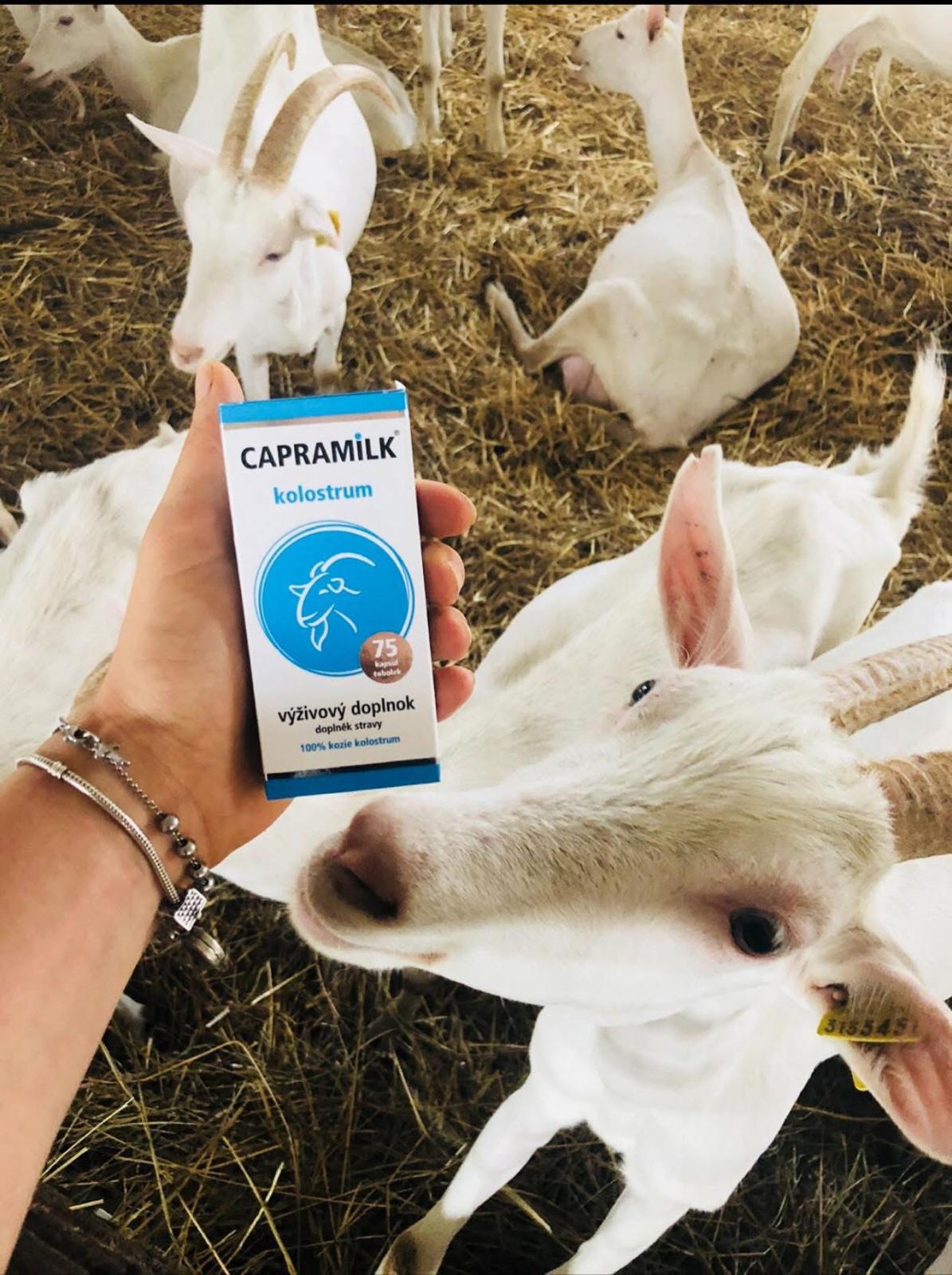 Koza pri produkte CAPRAMILK kolostrum