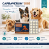baner capraverum dog