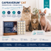 capraverum cat
