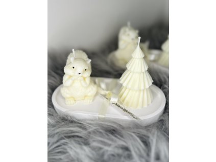 Veverčí královna na talířku - zima